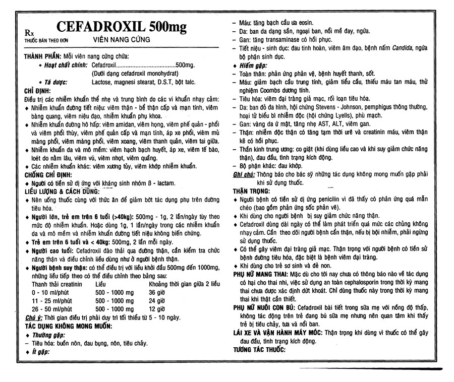 Cefadroxil Vidipha 500mg trị nhiễm khuẩn